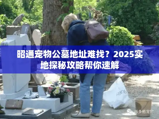 昭通宠物公墓地址难找？2025实地探秘攻略帮你速解