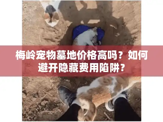 梅岭宠物墓地价格高吗?如何避开隐藏费用陷阱? 梅岭宠物墓地价格高吗?如何避开隐藏费用陷阱?