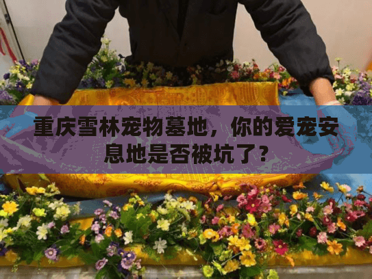 重庆雪林宠物墓地,你的爱宠安息地是否被坑了? 重庆雪林宠物墓地,你的爱宠安息地是否被坑了?