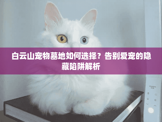 白云山宠物墓地如何选择?告别爱宠的隐藏陷阱解析 白云山宠物墓地如何选择?告别爱宠的隐藏陷阱解析