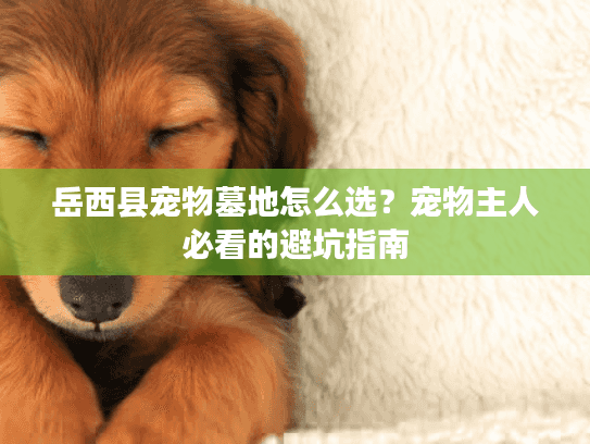 岳西县宠物墓地怎么选？宠物主人必看的避坑指南
