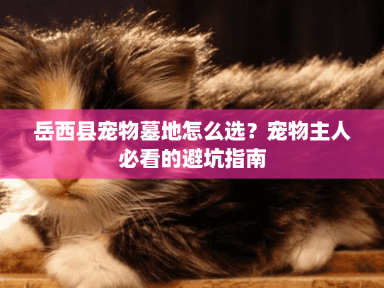 岳西县宠物墓地怎么选？宠物主人必看的避坑指南