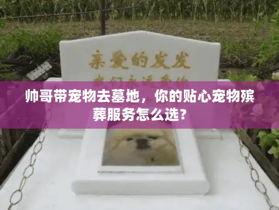帅哥带宠物去墓地，你的贴心宠物殡葬服务怎么选？