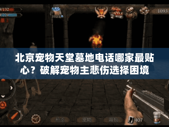 北京宠物天堂墓地电话哪家最贴心？破解宠物主悲伤选择困境