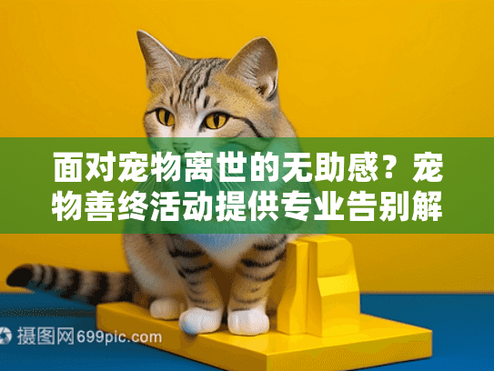 面对宠物离世的无助感？宠物善终活动提供专业告别解决方案