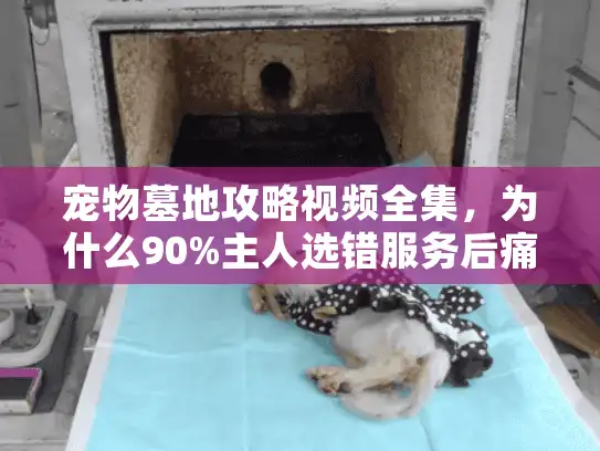 宠物墓地攻略视频全集，为什么90%主人选错服务后痛苦翻倍？