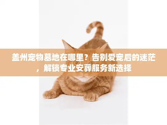 盖州宠物墓地在哪里?告别爱宠后的迷茫,解锁专业安葬服务新选择 盖州宠物墓地在哪里?告别爱宠后的迷茫,解锁专业安葬服务新选择