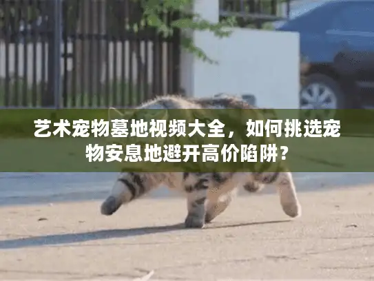 艺术宠物墓地视频大全，如何挑选宠物安息地避开高价陷阱？