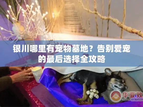 银川哪里有宠物墓地?告别爱宠的最后选择全攻略 银川哪里有宠物墓地?告别爱宠的最后选择全攻略