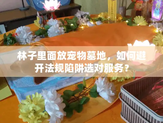 林子里面放宠物墓地，如何避开法规陷阱选对服务？