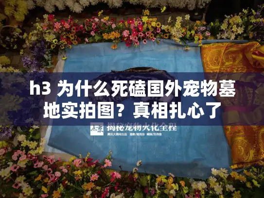 h3 为什么死磕国外宠物墓地实拍图?真相扎心了 h3 为什么死磕国外宠物墓地实拍图?真相扎心了