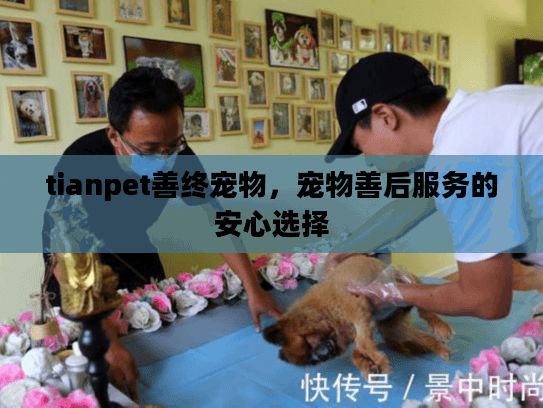 tianpet善终宠物，宠物善后服务的安心选择