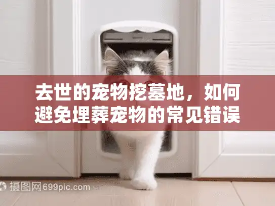 去世的宠物挖墓地,如何避免埋葬宠物的常见错误? 去世的宠物挖墓地,如何避免埋葬宠物的常见错误?