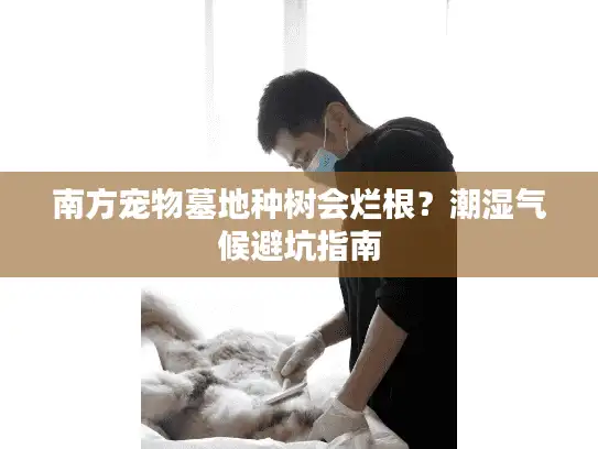 南方宠物墓地种树会烂根？潮湿气候避坑指南