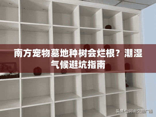 南方宠物墓地种树会烂根？潮湿气候避坑指南