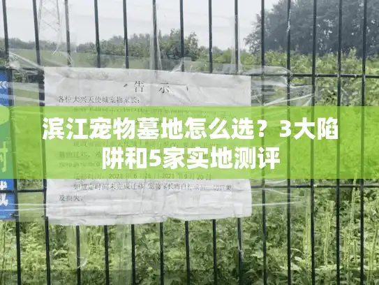 滨江宠物墓地怎么选？3大陷阱和5家实地测评