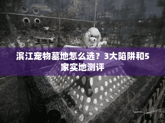滨江宠物墓地怎么选？3大陷阱和5家实地测评