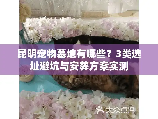 昆明宠物墓地有哪些？3类选址避坑与安葬方案实测