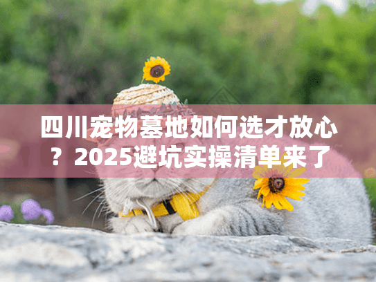 四川宠物墓地如何选才放心？2025避坑实操清单来了