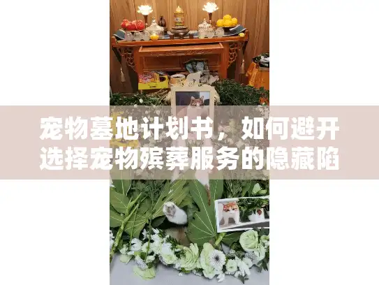 宠物墓地计划书，如何避开选择宠物殡葬服务的隐藏陷阱？
