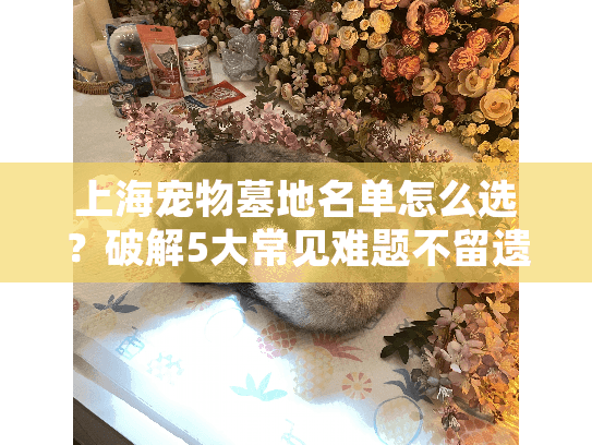 上海宠物墓地名单怎么选？破解5大常见难题不留遗憾