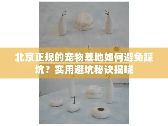 北京正规的宠物墓地如何避免踩坑？实用避坑秘诀揭晓