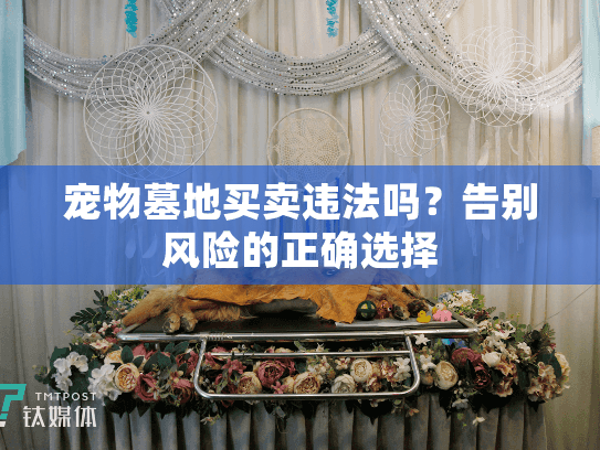 宠物墓地买卖违法吗？告别风险的正确选择