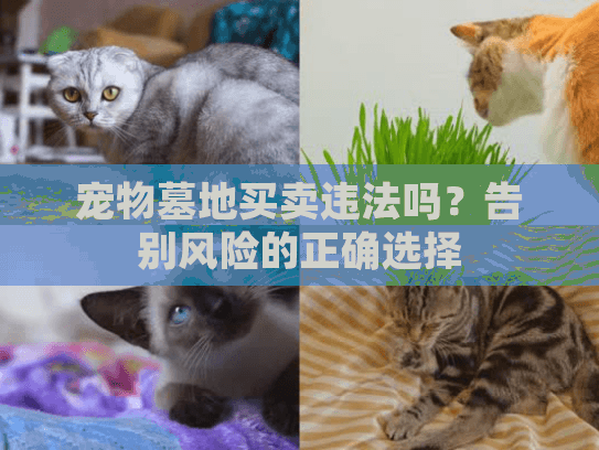 宠物墓地买卖违法吗？告别风险的正确选择