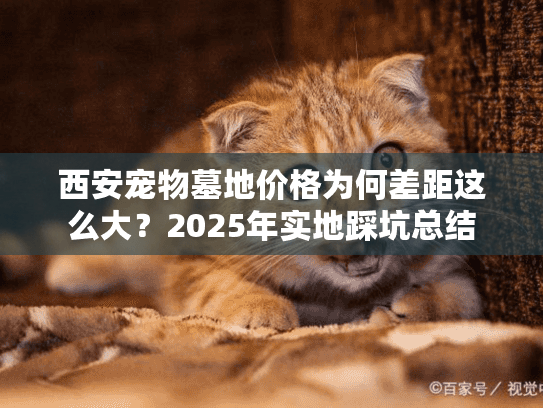 西安宠物墓地价格为何差距这么大?2025年实地踩坑总结 西安宠物墓地价格为何差距这么大?2025年实地踩坑总结