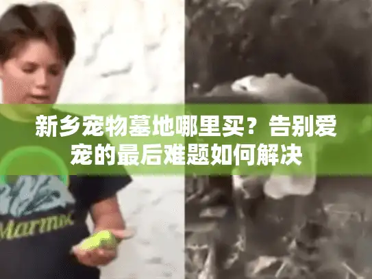 新乡宠物墓地哪里买?告别爱宠的最后难题如何解决 新乡宠物墓地哪里买?告别爱宠的最后难题如何解决