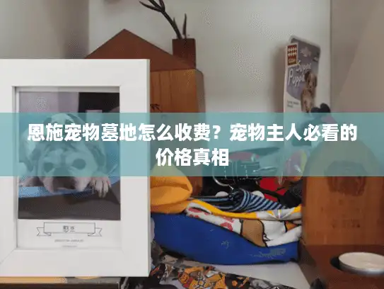 恩施宠物墓地怎么收费?宠物主人必看的价格真相 恩施宠物墓地怎么收费?宠物主人必看的价格真相