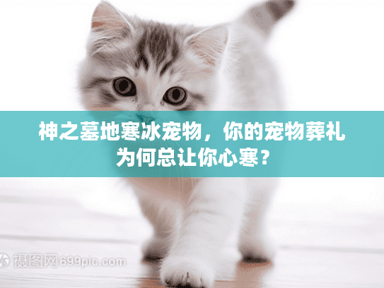 神之墓地寒冰宠物，你的宠物葬礼为何总让你心寒？