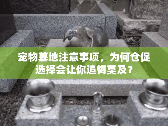 宠物墓地注意事项，为何仓促选择会让你追悔莫及？