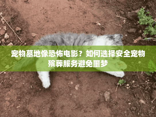 宠物墓地像恐怖电影？如何选择安全宠物殡葬服务避免噩梦