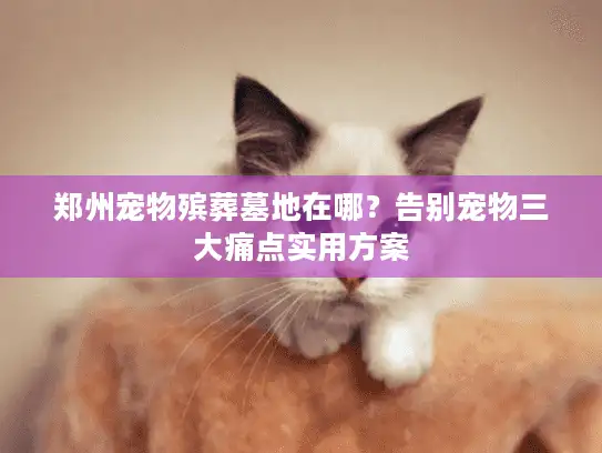 郑州宠物殡葬墓地在哪？告别宠物三大痛点实用方案