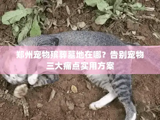 郑州宠物殡葬墓地在哪？告别宠物三大痛点实用方案