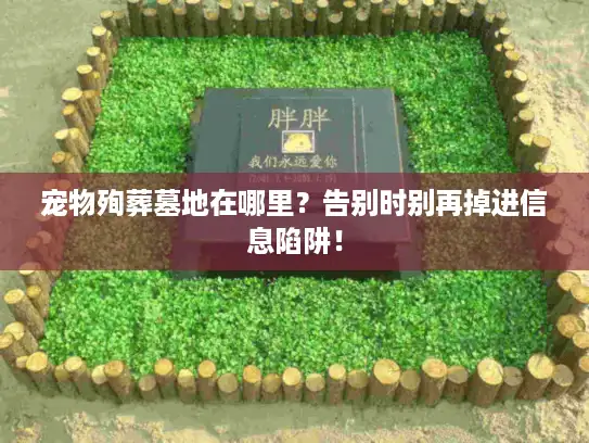 宠物殉葬墓地在哪里？告别时别再掉进信息陷阱！