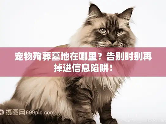 宠物殉葬墓地在哪里？告别时别再掉进信息陷阱！