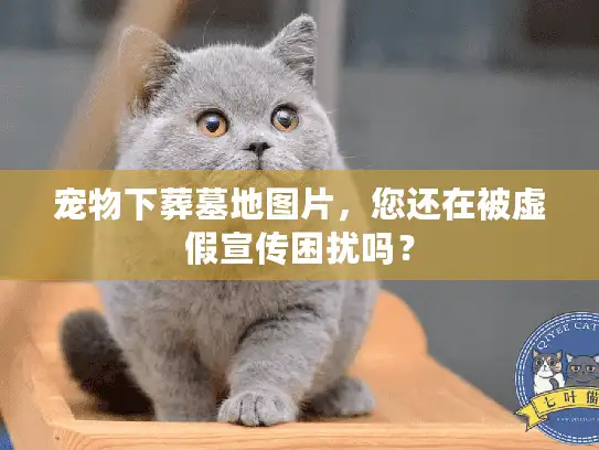 宠物下葬墓地图片,您还在被虚假宣传困扰吗? 宠物下葬墓地图片,您还在被虚假宣传困扰吗?