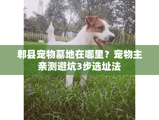 郫县宠物墓地在哪里？宠物主亲测避坑3步选址法