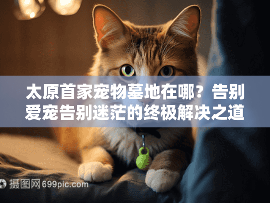 太原首家宠物墓地在哪？告别爱宠告别迷茫的终极解决之道