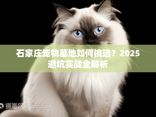 石家庄宠物墓地如何挑选？2025避坑实战全解析