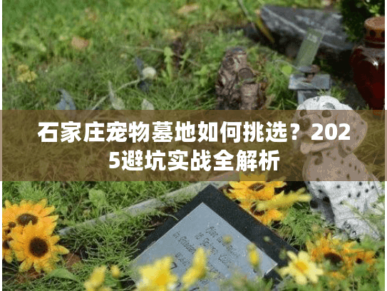 石家庄宠物墓地如何挑选？2025避坑实战全解析