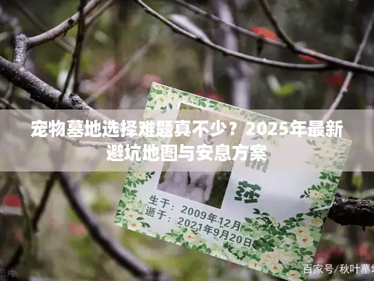 宠物墓地选择难题真不少?2025年最新避坑地图与安息方案 宠物墓地选择难题真不少?2025年最新避坑地图与安息方案
