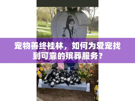宠物善终桂林，如何为爱宠找到可靠的殡葬服务？