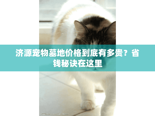 济源宠物墓地价格到底有多贵？省钱秘诀在这里