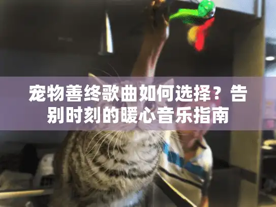 宠物善终歌曲如何选择?告别时刻的暖心音乐指南 宠物善终歌曲如何选择?告别时刻的暖心音乐指南