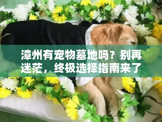 漳州有宠物墓地吗？别再迷茫，终极选择指南来了！