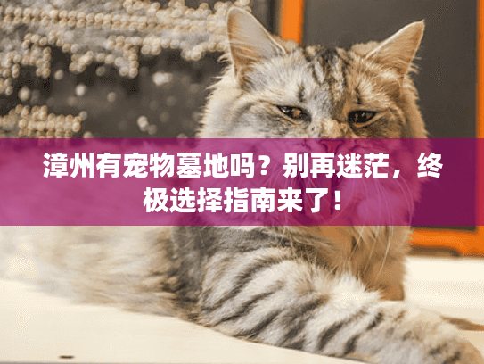 漳州有宠物墓地吗？别再迷茫，终极选择指南来了！