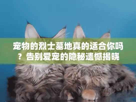 宠物的烈士墓地真的适合你吗?告别爱宠的隐秘遗憾揭晓 宠物的烈士墓地真的适合你吗?告别爱宠的隐秘遗憾揭晓